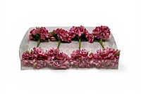 Rose Pink Blossom Flowers