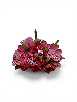 Rose Pink Blossom Flowers