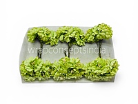 Spring Lime Bloom Bunch