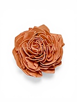 Carrot Sola Wood Dahlia