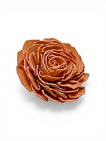 Carrot Sola Wood Dahlia