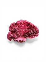 Pink Dried Botanical Pods