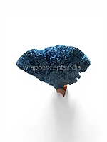 Blue Dried Botanical Pods