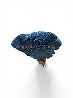 Blue Dried Botanical Pods