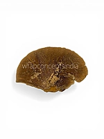 Natural Dried Botanical Pods – Rustic Brown Decor Fillers