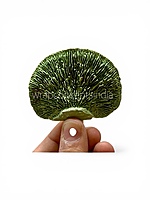 Green Dried Botanical Pods