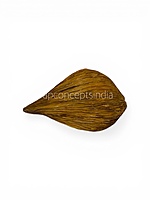 Dried Botanical Shell Pods