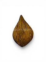 Dried Botanical Shell Pods