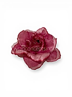 Midnight Merlot Rose