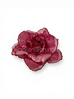 Midnight Merlot Rose