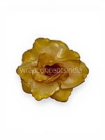 Sunlit Gold Rose