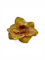 Sunlit Gold Rose