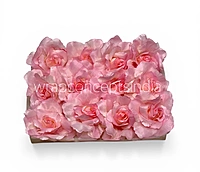 Petal Pink Rose