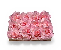 Petal Pink Rose