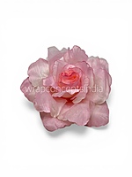 Petal Pink Rose