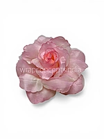 Petal Pink Rose