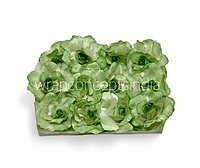 Fresh Mint Rose