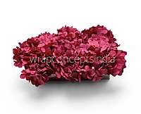 Wine Hydrangeas