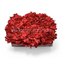 Crimson Hydrangeas
