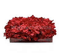 Crimson Hydrangeas