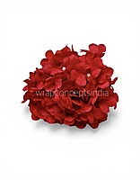 Crimson Hydrangeas