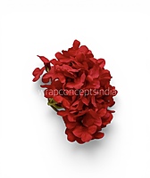 Crimson Hydrangeas