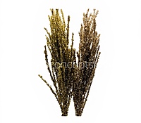 Gold & Champagne Glitter Spray Sticks