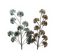 Celestial Spark Spray - Silver/Champagne