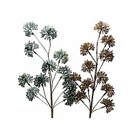 Celestial Spark Spray - Silver/Champagne