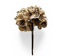 Glitter Blossom Bunch- Rose/Champagne