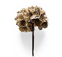 Glitter Blossom Bunch- Rose/Champagne