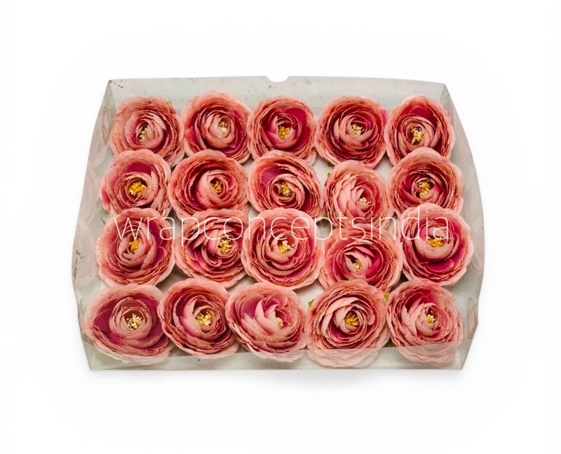 Dusky Blush Ranunculus