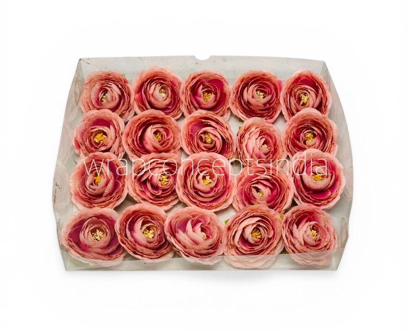 Dusky Blush Ranunculus