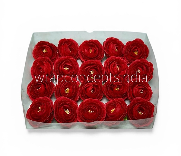 Cherry Ranunculus