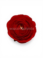 Cherry Ranunculus