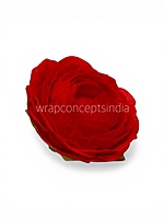 Cherry Ranunculus