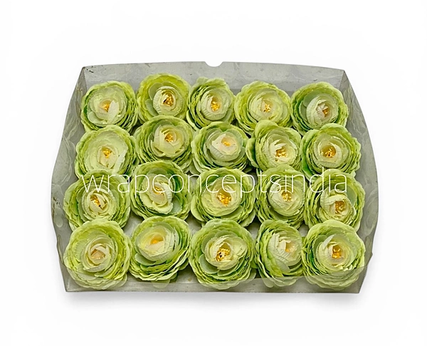 Spring Leaf Ranunculus