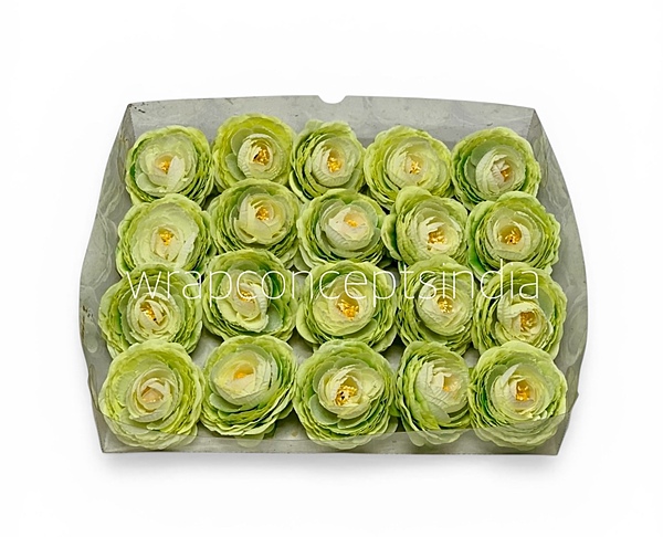 Spring Leaf Ranunculus