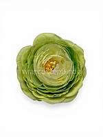 Spring Leaf Ranunculus