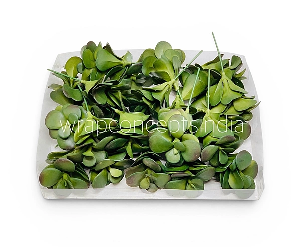 Jade Garden Fillers