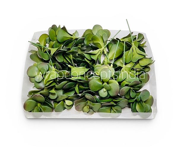 Jade Garden Fillers
