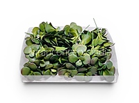 Jade Garden Fillers
