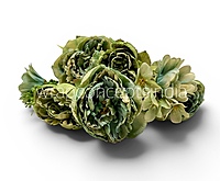 Green Peony Bunch