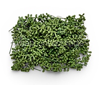 Meadow Bud Leaf Filler