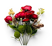 Peony Mist Blooms - Coral