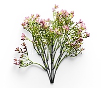 Spring Greens (Set of 2)-Pink