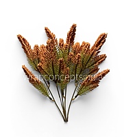 Meadow Filler Bunch (Set of 2)