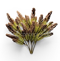 Meadow Filler Bunch (Set of 2)