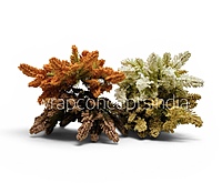 Meadow Filler Bunch (Set of 2)