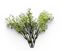 Spring Greens (Set of 2)